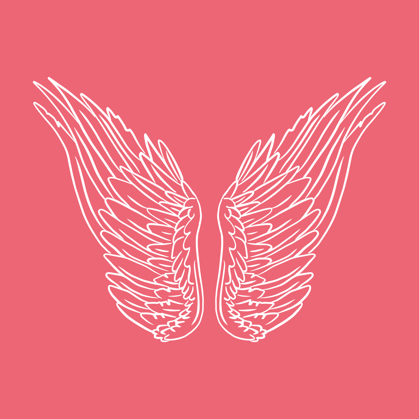 Vleugels-5